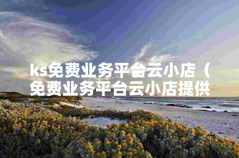 ks免费业务平台云小店（免费业务平台云小店提供KS服务）