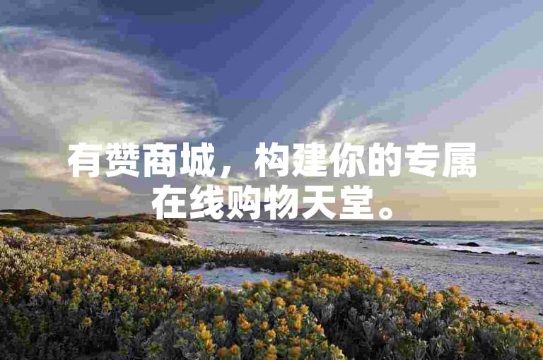 有赞商城，构建你的专属在线购物天堂。