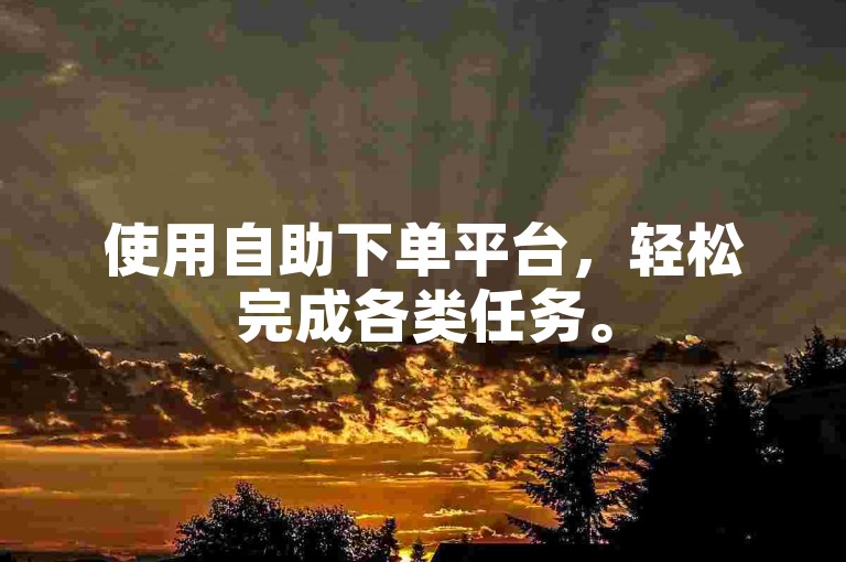 使用自助下单平台，轻松完成各类任务。
