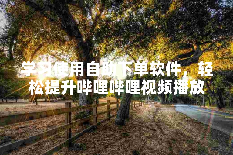 学习使用自助下单软件，轻松提升哔哩哔哩视频播放量。