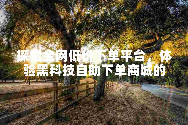 探索全网低价下单平台，体验黑科技自助下单商城的便捷。