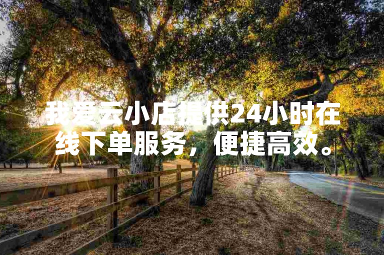 我爱云小店提供24小时在线下单服务，便捷高效。