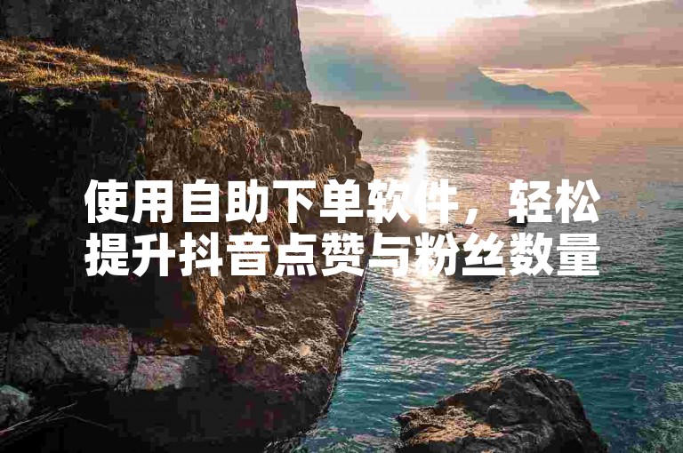 使用自助下单软件，轻松提升抖音点赞与粉丝数量。