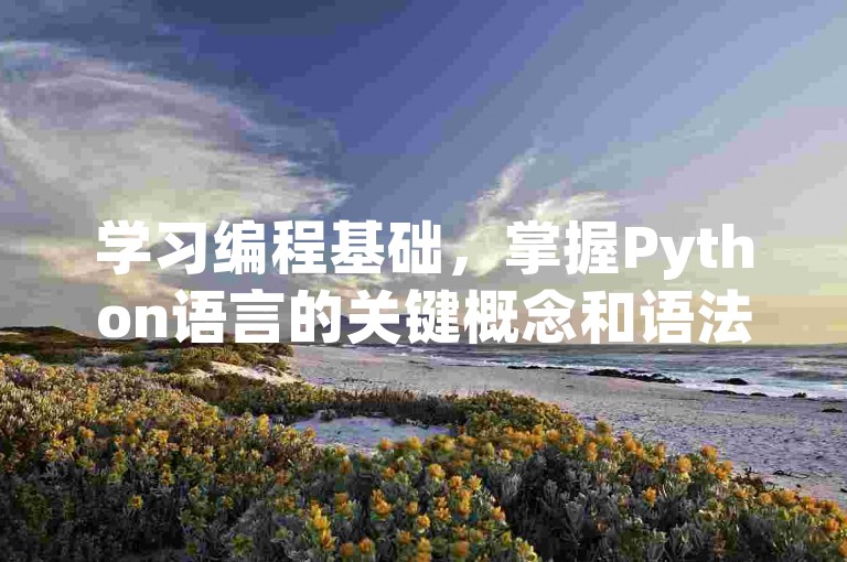 学习编程基础，掌握Python语言的关键概念和语法。