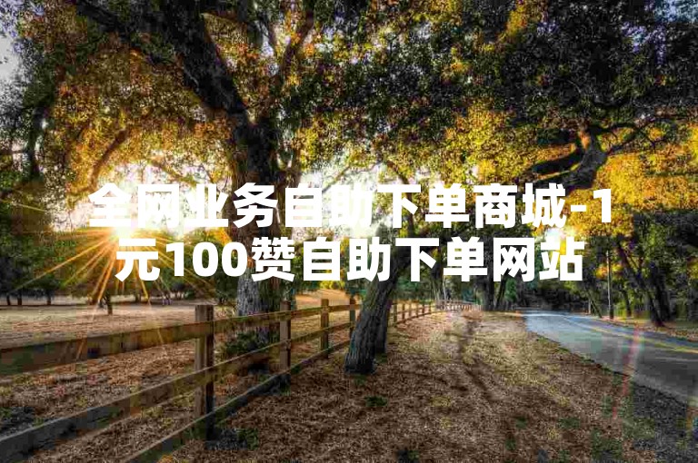 全网业务自助下单商城-1元100赞自助下单网站