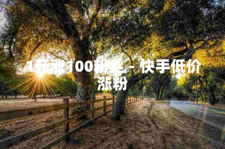1元涨100粉丝 - 快手低价涨粉