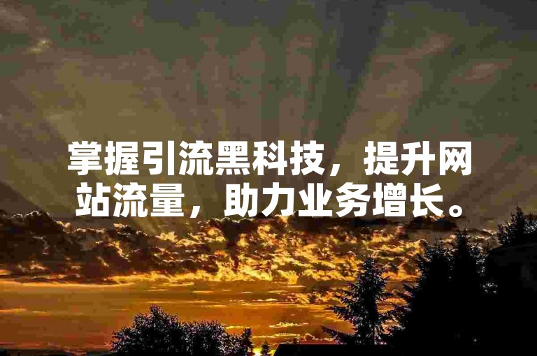 掌握引流黑科技，提升网站流量，助力业务增长。