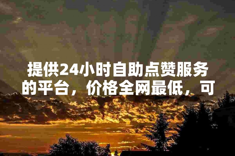 提供24小时自助点赞服务的平台，价格全网最低，可随时免费下单。