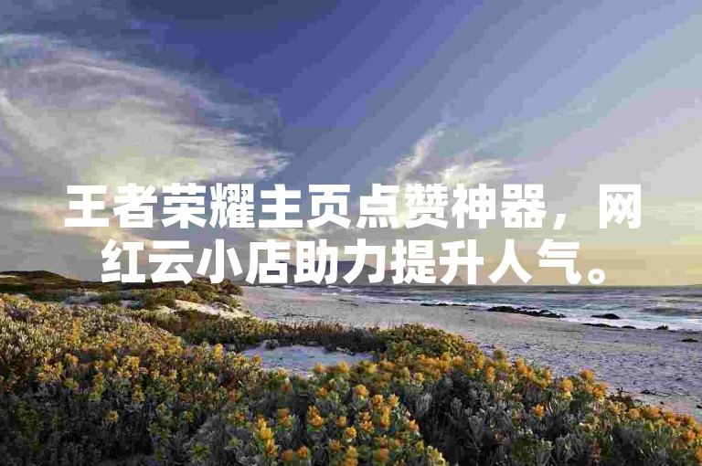 王者荣耀主页点赞神器，网红云小店助力提升人气。