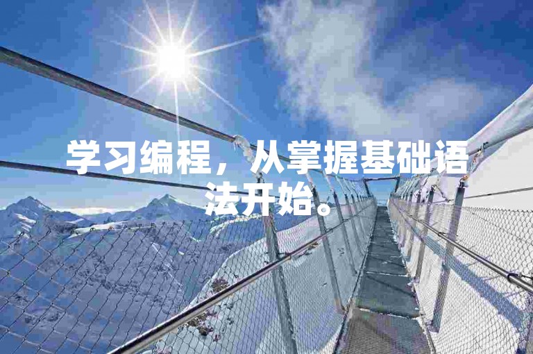学习编程，从掌握基础语法开始。