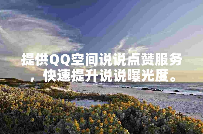 提供QQ空间说说点赞服务，快速提升说说曝光度。