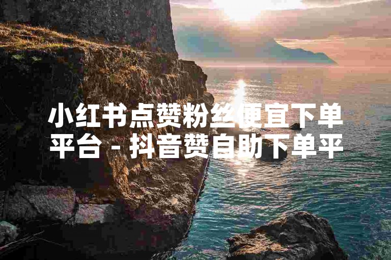 小红书点赞粉丝便宜下单平台 - 抖音赞自助下单平台软件
