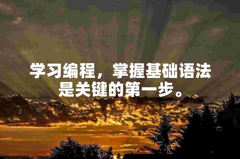 学习编程，掌握基础语法是关键的第一步。