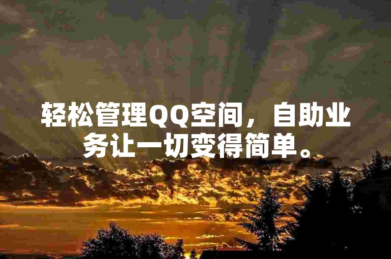 轻松管理QQ空间，自助业务让一切变得简单。