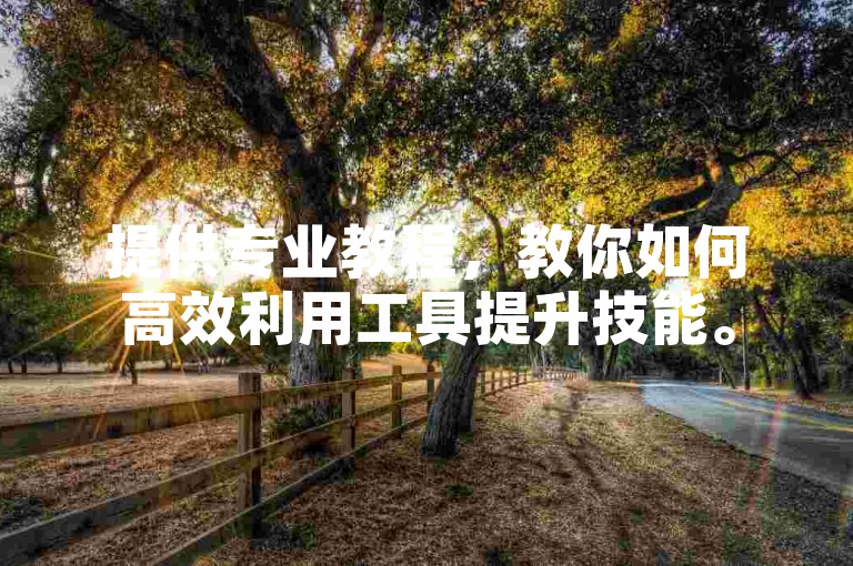 提供专业教程，教你如何高效利用工具提升技能。