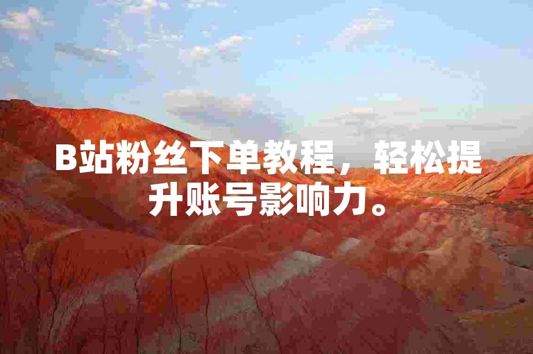 B站粉丝下单教程，轻松提升账号影响力。
