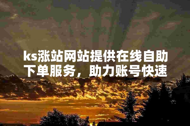 ks涨站网站提供在线自助下单服务，助力账号快速涨站。
