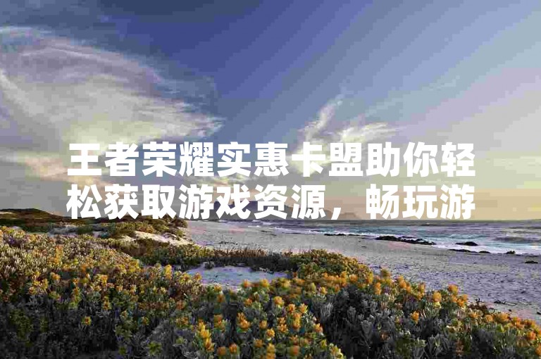 王者荣耀实惠卡盟助你轻松获取游戏资源，畅玩游戏。