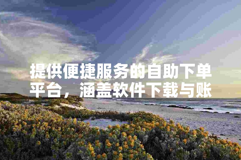 提供便捷服务的自助下单平台，涵盖软件下载与账号交易。