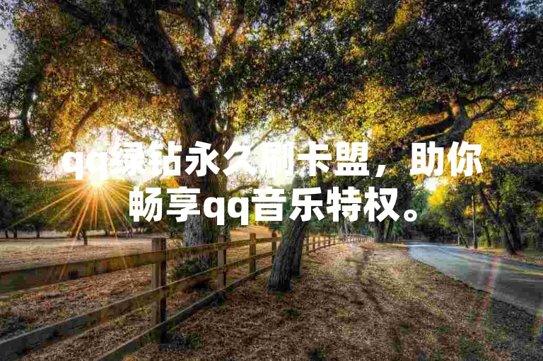 qq绿钻永久刷卡盟，助你畅享qq音乐特权。