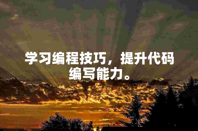 学习编程技巧，提升代码编写能力。