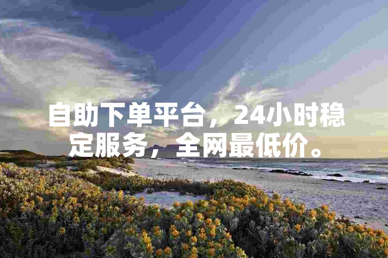 自助下单平台，24小时稳定服务，全网最低价。