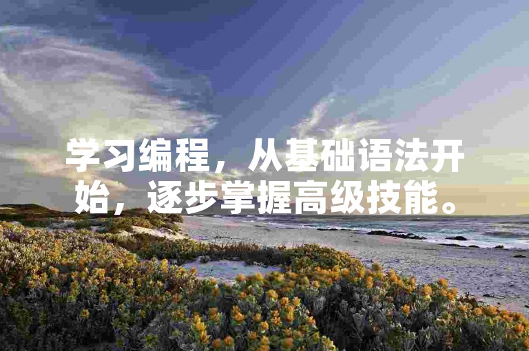 学习编程，从基础语法开始，逐步掌握高级技能。