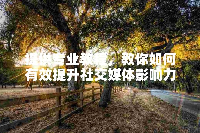 提供专业教程，教你如何有效提升社交媒体影响力。