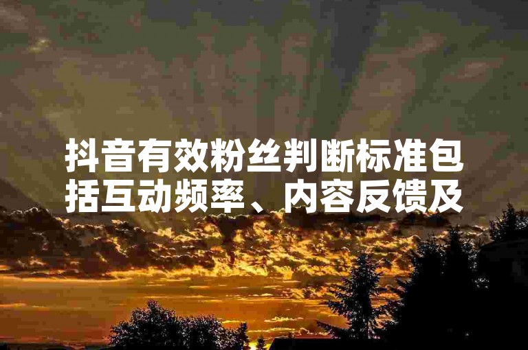 抖音有效粉丝判断标准包括互动频率、内容反馈及账号活跃度等因素。
