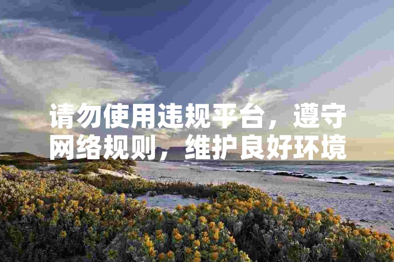 请勿使用违规平台，遵守网络规则，维护良好环境。