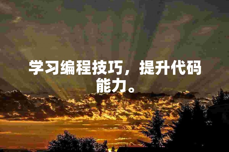 学习编程技巧，提升代码能力。