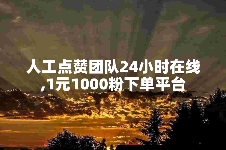 人工点赞团队24小时在线,1元1000粉下单平台