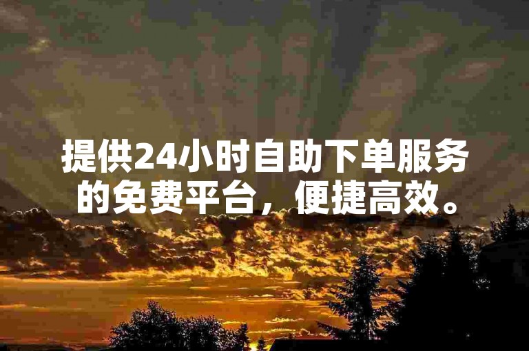 提供24小时自助下单服务的免费平台，便捷高效。