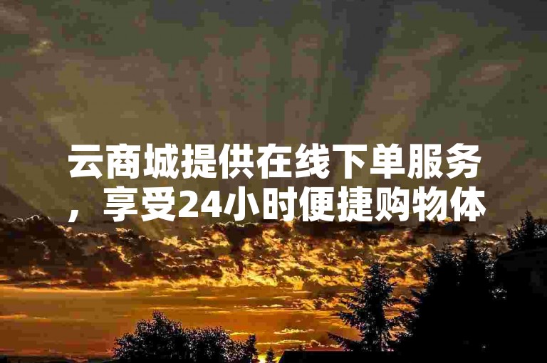 云商城提供在线下单服务，享受24小时便捷购物体验。