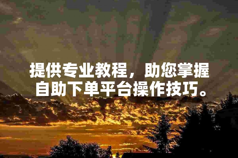提供专业教程，助您掌握自助下单平台操作技巧。