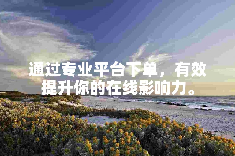 通过专业平台下单，有效提升你的在线影响力。