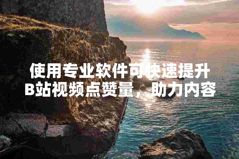使用专业软件可快速提升B站视频点赞量，助力内容传播。