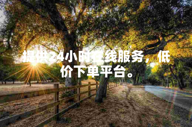提供24小时在线服务，低价下单平台。