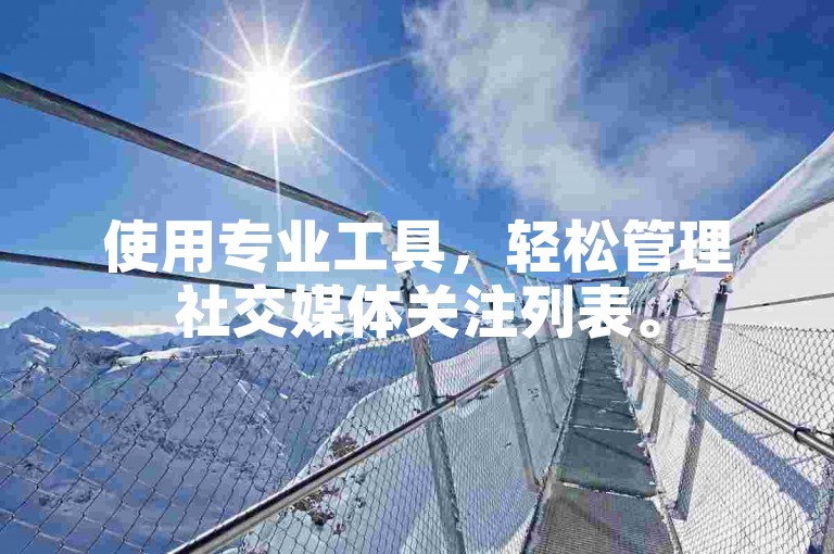 使用专业工具，轻松管理社交媒体关注列表。