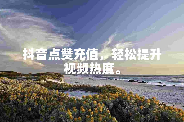 抖音点赞充值，轻松提升视频热度。