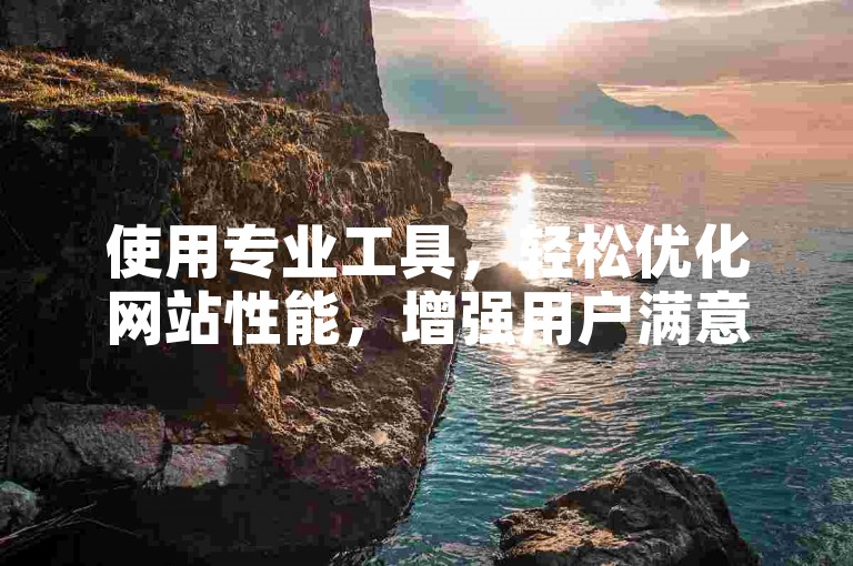 使用专业工具，轻松优化网站性能，增强用户满意度。