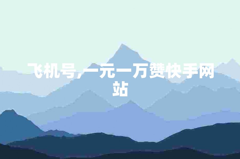 飞机号,一元一万赞快手网站
