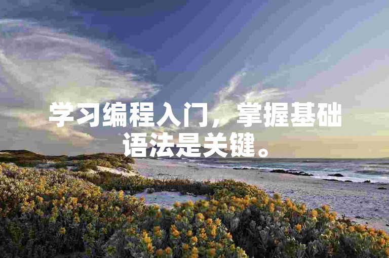 学习编程入门，掌握基础语法是关键。