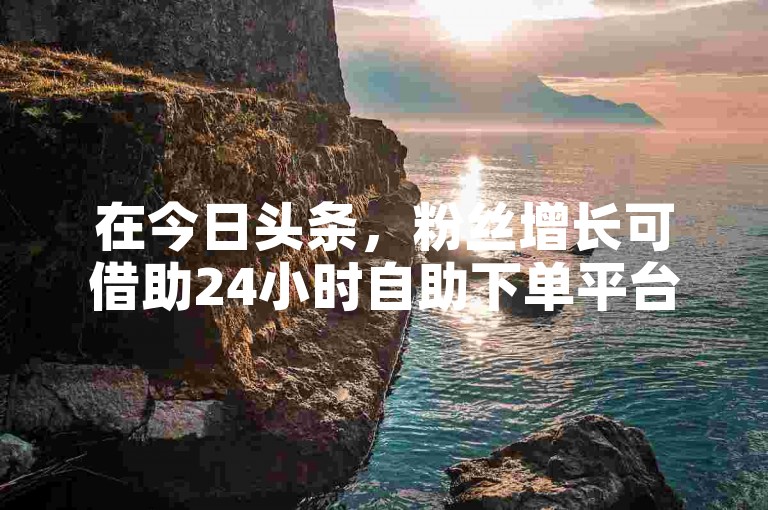 在今日头条，粉丝增长可借助24小时自助下单平台实现。