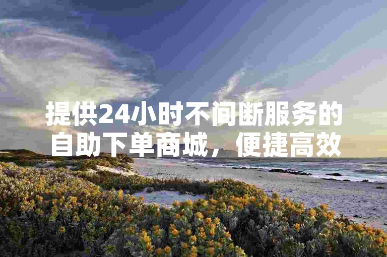 提供24小时不间断服务的自助下单商城，便捷高效。