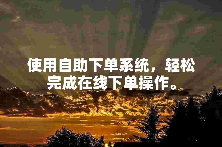 使用自助下单系统，轻松完成在线下单操作。