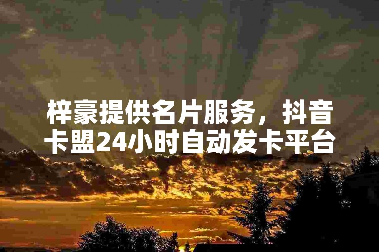 梓豪提供名片服务，抖音卡盟24小时自动发卡平台助力。