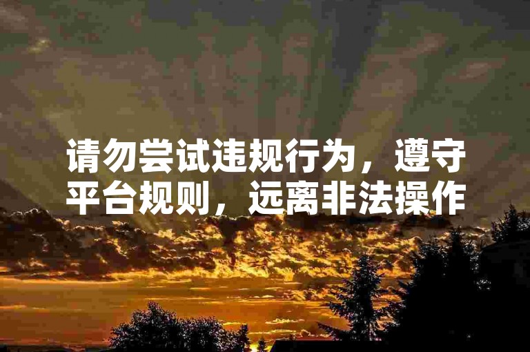 请勿尝试违规行为，遵守平台规则，远离非法操作。