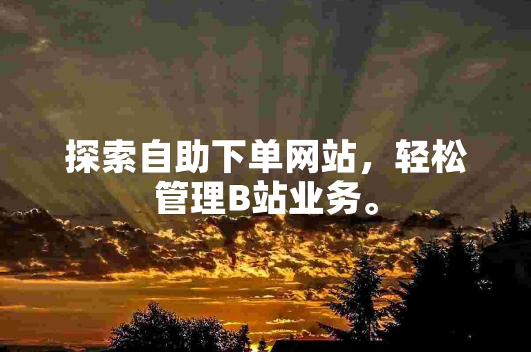 探索自助下单网站，轻松管理B站业务。