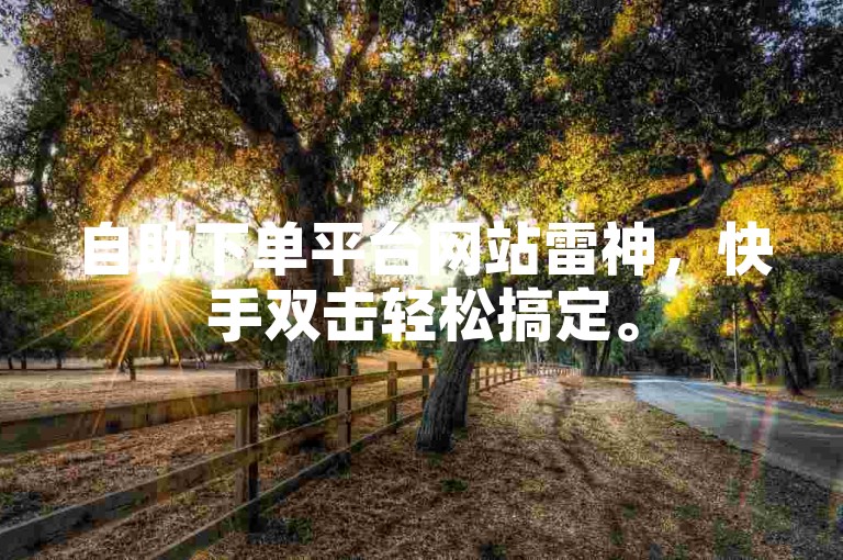 自助下单平台网站雷神，快手双击轻松搞定。